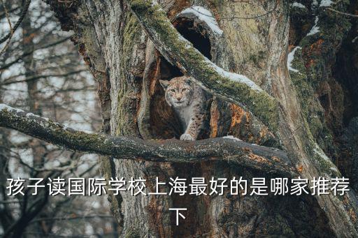孩子讀國際學校上海最好的是哪家推薦下