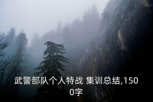 集訓(xùn)總結(jié),通過這次集訓(xùn)我對(duì)專業(yè)有更深刻認(rèn)識(shí)