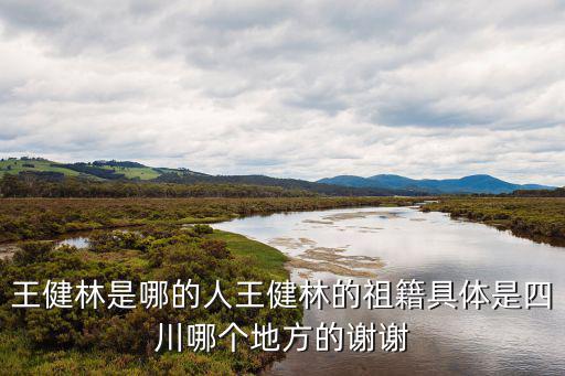 王健林是哪的人王健林的祖籍具體是四川哪個地方的謝謝