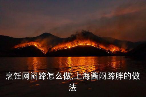 烹飪網悶蹄怎么做,上海醬悶蹄胖的做法