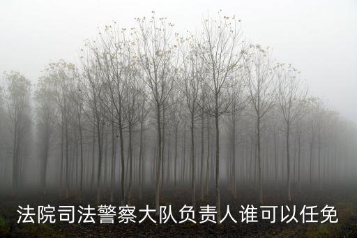 法院司法警察大隊負責人誰可以任免