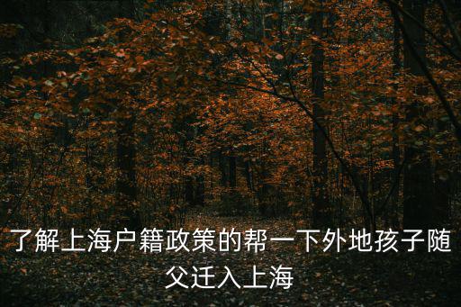 了解上海戶籍政策的幫一下外地孩子隨父遷入上海