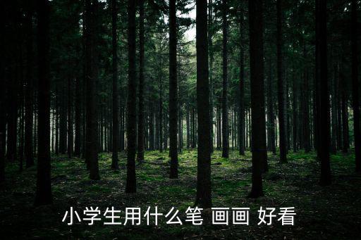 小學生用什么筆 畫畫 好看