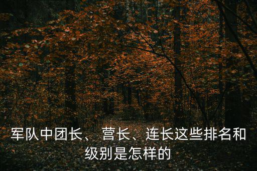 軍隊(duì)中團(tuán)長、 營長、連長這些排名和級別是怎樣的