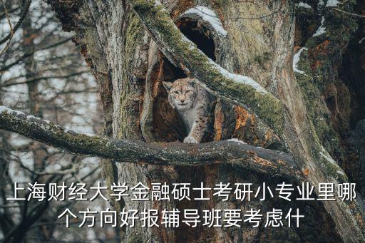 上海財(cái)經(jīng)大學(xué)金融碩士考研小專業(yè)里哪個(gè)方向好報(bào)輔導(dǎo)班要考慮什