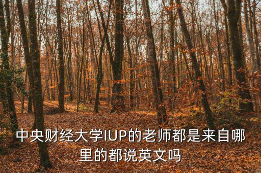 孫志猛中央財經大學，中央財經大學IUP的老師都是來自哪里的都說英文嗎