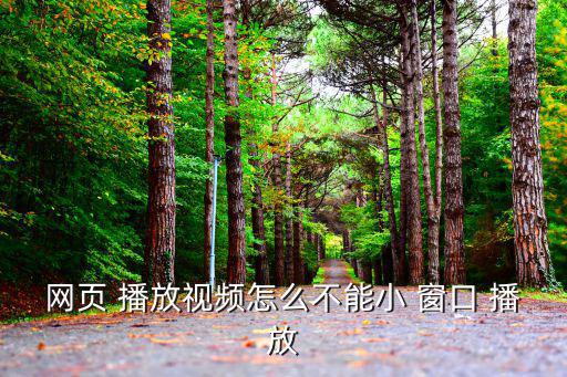 網頁 播放視頻怎么不能小 窗口 播放