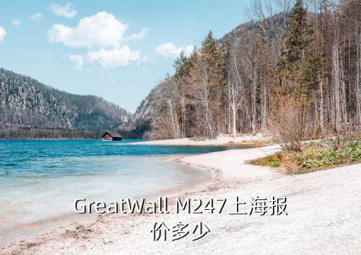 GreatWall M247上海報價多少