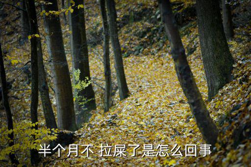 不拉屎是什么原因,便秘的患病率很高一般達30%左右
