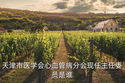 天津市三中心臟外科病主任，天津第三中心醫(yī)院主治醫(yī)生周六日上班嗎