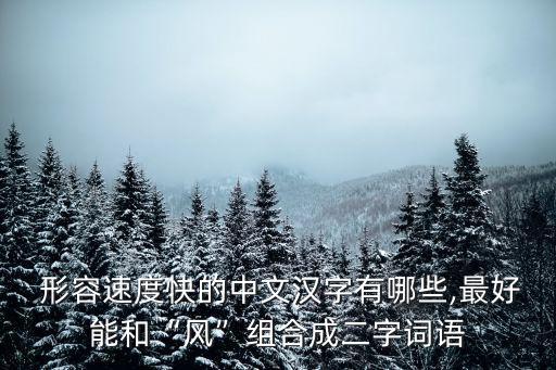  形容速度快的中文漢字有哪些,最好能和“風(fēng)”組合成二字詞語(yǔ)