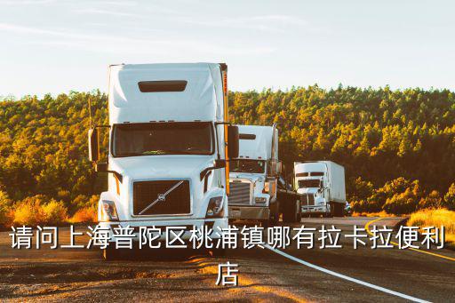 請(qǐng)問(wèn)上海普陀區(qū)桃浦鎮(zhèn)哪有拉卡拉便利店