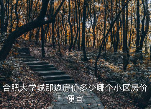 合肥大學城那邊房價多少哪個小區房價便宜
