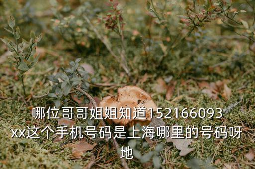 上海市哪里有女王本人的電話號碼，誰知道在這是上海哪里的號碼呀02161993423請知道的告訴我本人十