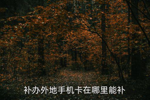 補外,中國移動提供異地補卡服務早在1992年