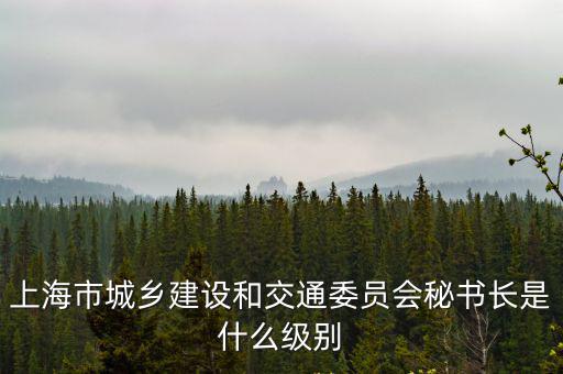 上海市城鄉(xiāng)建設(shè)和交通委員會(huì)秘書(shū)長(zhǎng)是什么級(jí)別