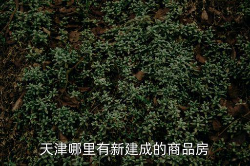 天津哪里有新建成的商品房