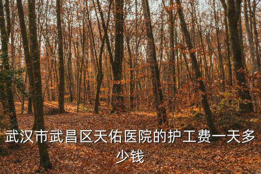 武漢市武昌區(qū)天佑醫(yī)院的護(hù)工費(fèi)一天多少錢(qián)