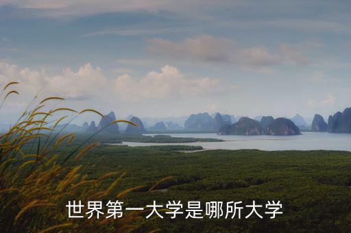 世界第一大學是哪所大學