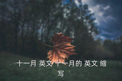  十一月 英文 十一月的 英文 縮寫