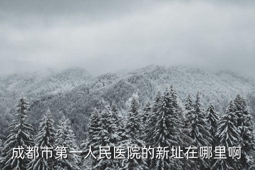 成都市第一人民醫院的新址在哪里啊