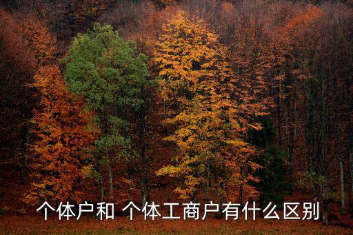 個體戶和 個體工商戶有什么區別