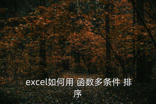 excel排序函數(shù),如何使用excel查找性別和類別?