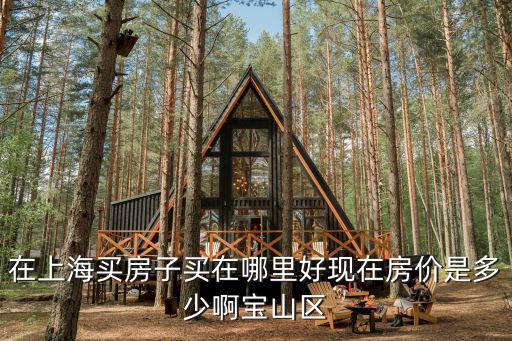 上海市寶山新顧村大家園a區房價，上海寶山地區的房價多少啊
