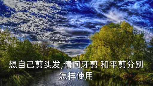 想自己剪頭發,請問牙剪 和平剪分別怎樣使用