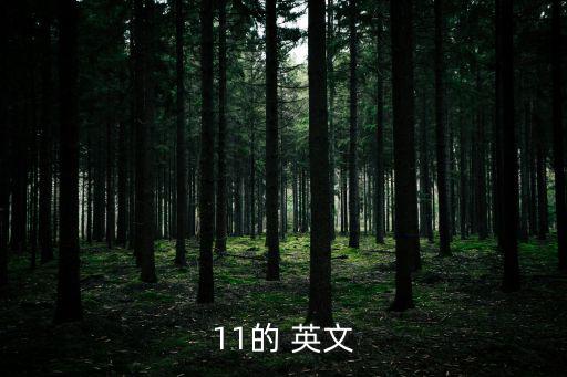 11的 英文