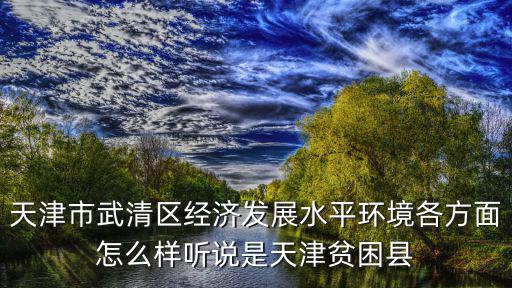 天津市武清區(qū)以后發(fā)展怎么樣，天津武清中央水城商業(yè)區(qū)今后的發(fā)展如何
