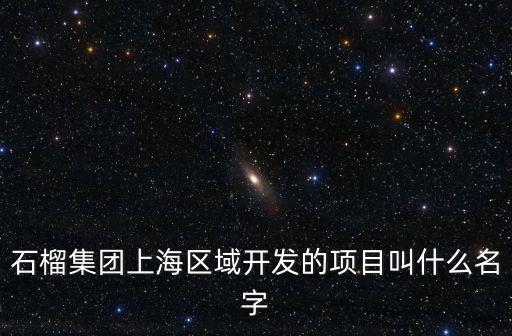 石榴集團上海區(qū)域開發(fā)的項目叫什么名字