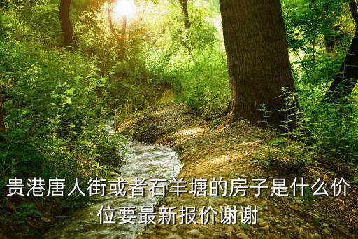 貴港唐人街或者石羊塘的房子是什么價(jià)位要最新報(bào)價(jià)謝謝