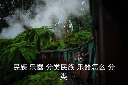 民族 樂器 分類民族 樂器怎么 分類