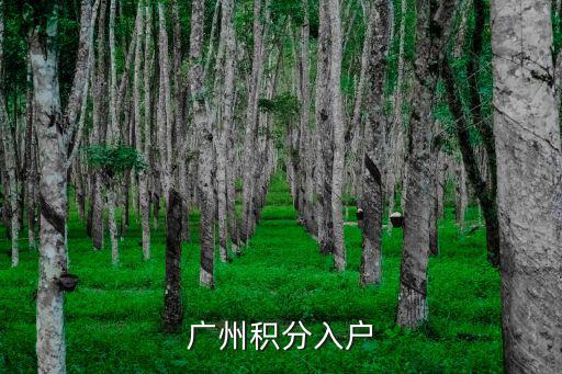 2022年廣州市積分入戶，廣州積分入戶