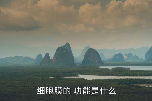 細胞膜功能,細胞膜功能yes:提供細胞識別位點完成跨膜傳遞
