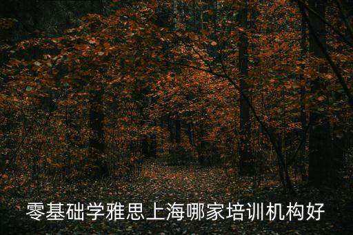 零基礎學雅思上海哪家培訓機構好