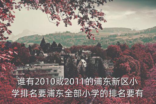 誰有2010或2011的浦東新區(qū)小學排名要浦東全部小學的排名要有