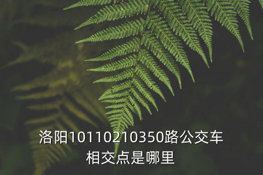 從西關坐101到洛陽上海市場，洛陽公交車哪到上海市場以及小商品市場