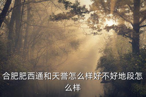 合肥肥西通和天譽怎么樣好不好地段怎么樣