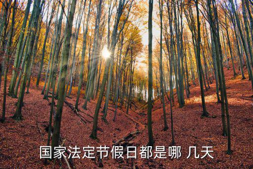 國(guó)假是哪幾天,第二條假日從2014年1月1日起施行