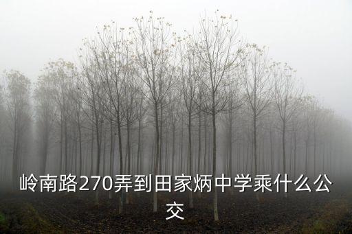 上海市田家炳中學在哪，上海市田家炳中學所屬區域