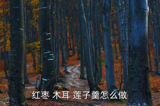 紅棗 木耳 蓮子羹怎么做