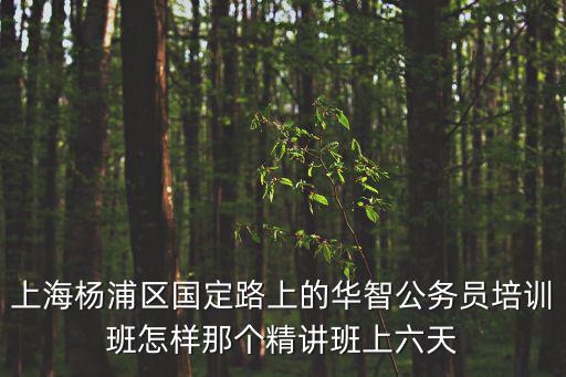 上海楊浦區(qū)國定路上的華智公務(wù)員培訓(xùn)班怎樣那個(gè)精講班上六天
