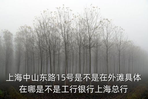 上海中山東路15號是不是在外灘具體在哪是不是工行銀行上?？傂? class=