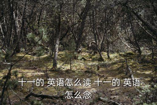  十一的 英語怎么讀 十一的 英語怎么念