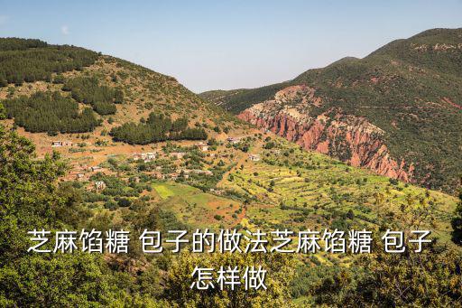 糖包子怎么做,白糖包子餡料的做法很樂意回答你的問題