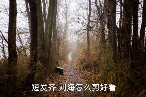  短發齊 劉海怎么剪好看