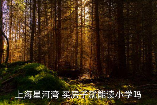 上海市星河灣小學，上海星河灣 買房子就能讀小學嗎