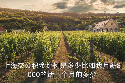上海交公積金比例是多少比如我月薪8000的話一個(gè)月的多少